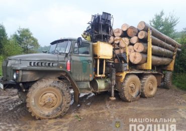 Чотири вантажівки з деревом без документів затримали закарпатські поліцейські протягом тижня (ВІДЕО)