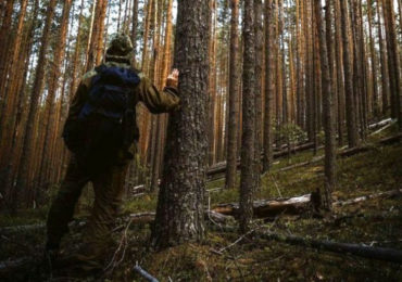 У лісі на Закарпатті два дні розшукують заблукалого 37-річного грибника