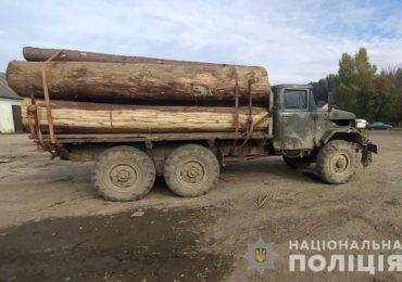 На Закарпатті затримали вантажівку з нелегальною деревиною (ФОТО)