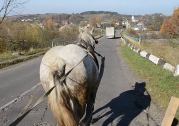 На Закарпатті перевіряють дотримання ПДP гужовим транспортом