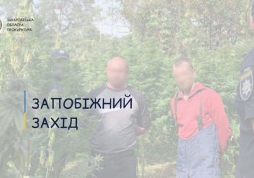 Закарпатцям, які посіяли плантацію коноплі, обрали запобіжний захід