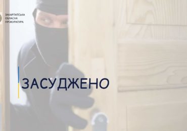 8 років ув’язнення та конфіскація майна: закарпатця засуджено за розбійні напади