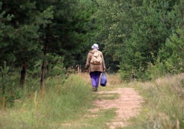 На Закарпатті розшукали жінку, яка вийшла до лісу вчора ввечері та заблукала