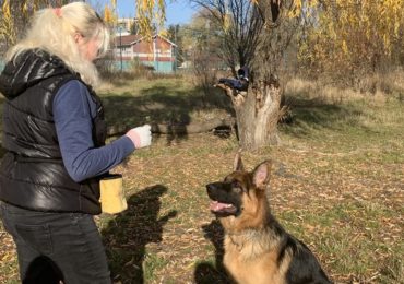 Спеціально визначених місць для вигулу собак в Ужгороді немає