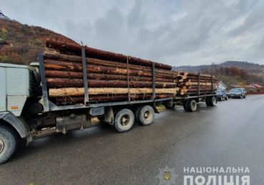 На Закарпатті затримали вантажівку, що перевозила кругляк "Ялини" без відповідних документів