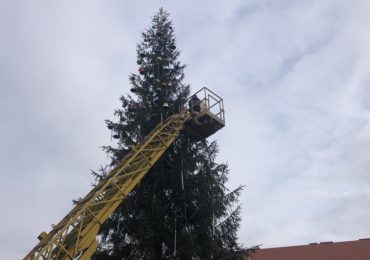 В Ужгороді почали прикрашати головну ялинку області (ВІДЕО)