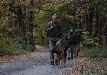 На Закарпатті затримали двох громадян Вірменії, які намагалися незаконно перетнути кордон