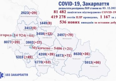 На Закарпатті 536 нових випадків коронавірусу за добу, 16 людей померли