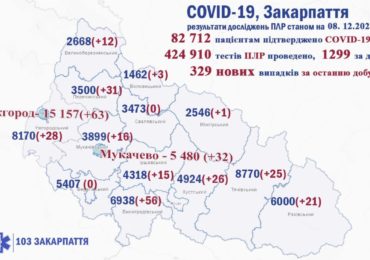 На Закарпатті 329 нових випадків захворювання на коронавірус, 12 людей померли