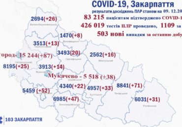 На Закарпатті 503 нових випадків коронавірусу за добу, 13 людей померли