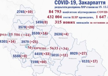 На Закарпатті 315 нових випадків коронавірусу за добу