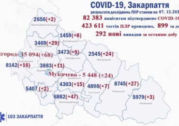 На Закарпатті 292 нових випадків коронавірусу за добу, 14 людей померли