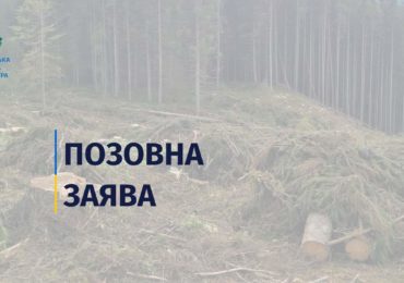 Незаконні порубки на майже 900 тисяч гривень: прокуратура через суд вимагає відшкодування збитків