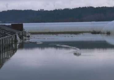 Закарпаття у воді: негода принесла жителям області чимало лиха (ВІДЕО)