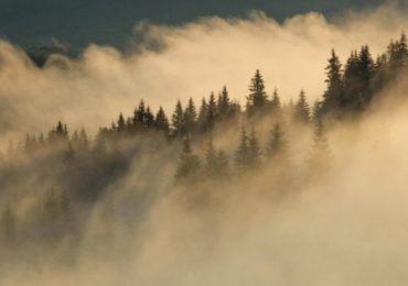 До уваги водіїв: на Закарпаття насуваються тумани