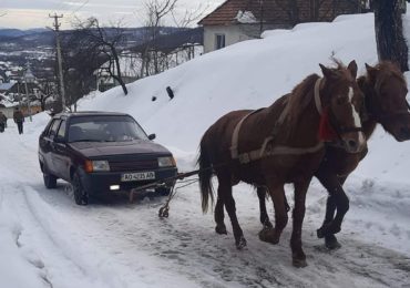 Підприємливі закарпатці створили кінний евакуатор (ФОТО)