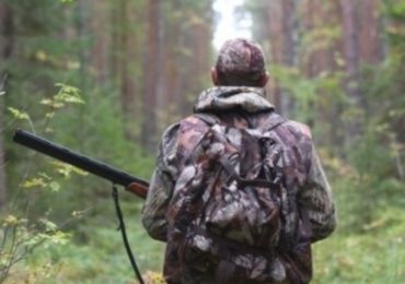 На Закарпатті браконьєри застрелили самку благородного оленя