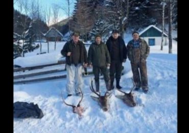 На Закарпатті чиновники Брустурянського лісгоспу хизувалися вбитими дикими тваринами, - ЗМІ