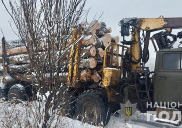 На Закарпатті поліцейські затримали вантажівку з нелегальною деревиною