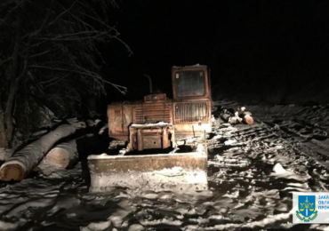 На Закарпатті посадовця підозрюють у сприянні незаконним рубкам лісу зі збитками у 5,3 млн грн