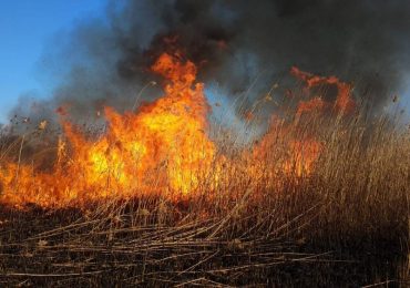 Трагедія на Ужгородщині: спалюючи суху траву жінка отримали 80% опіків тіла