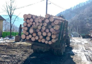 На Рахівщині затримали вантажівку з деревиною сумнівного походження