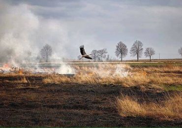 На Закарпатті знову зафіксували 5 випадків загорання сухостою за добу