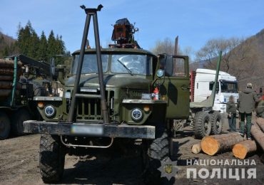 Правоохоронці вилучили вантажівку з нелегальною деревиною та передадуть на потреби ЗСУ