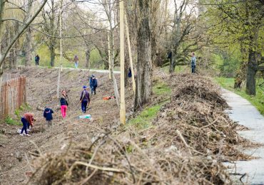 В Ужгороді на Студентській набережній висадять молоді липи