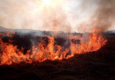 За минулу добу на Закарпатті зафіксували 5 випадків загорання сухостою