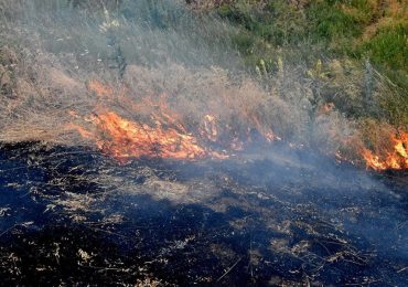 На Закарпатті виявили тіло жінки на місці спалювання сухостою