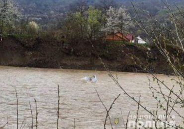 Подробиці трагедії від поліції: тіло закарпатця, який під час ДТП з’їхав у Тису, виявив перехожий під мостом у с. Крива