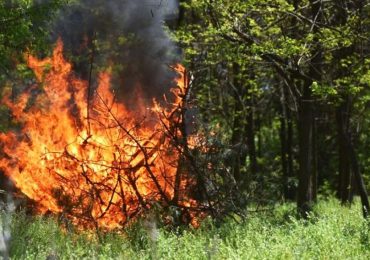 До уваги закарпатців: в області надзвичайна пожежна небезпека