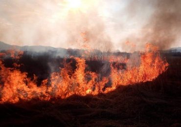 На Закарпатті зафіксували 15 випадки загорання сухостою за добу