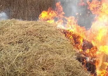 Внаслідок пожежі на Закарпатті згоріло 13 тонн сіна