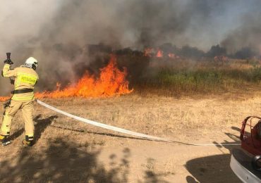 Пожежа на Закарпатті: вогнеборці спільно з місцевими ліквідовували пожежу на околиці с. Горінчово