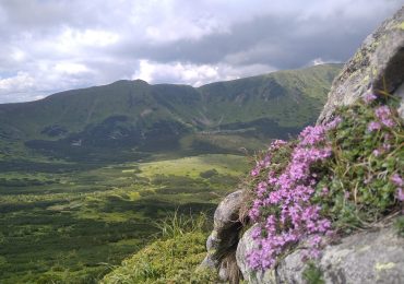 Краса Карпат: на високогір'ї температура повітря +7°С