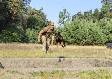 "Гроза" контрабандистів Саймон: чотирилапий фахівець з пошуку наркотичних речовин на західному кордоні