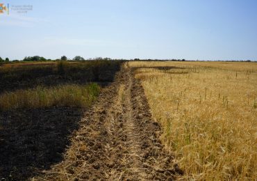 ДСНС Закарпаття: Через пожежу сухої трави ледь не згоріла пшениця на приватних наділах (ФОТО)