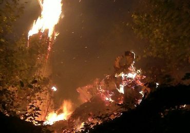 На Закарпатті від початку року сталося майже 2300 пожеж в екосистемах