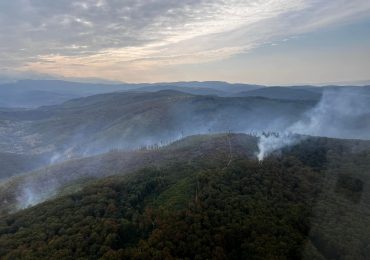 На Закарпатті населенню заборонили відвідувати лісові масиви