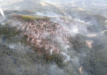 Виявлено новий осередок пожежі: на Ужгородщині триває ліквідація масштабної лісової пожежі (ФОТО)