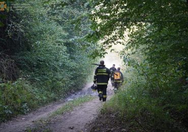 Масштабну пожежу у лісі на Ужгородщині ліквідовано