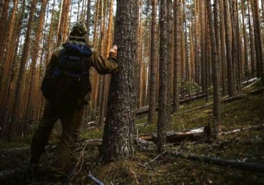 На Закарпатті шукають ще одного заблукалого грибника