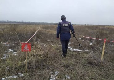 В селі на Закарпатті виявили 11 мінометних мін