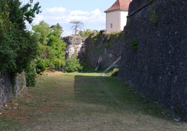 Стіни Ужгородського замку «лікують» від руйнівної рослинності