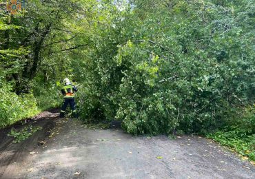 На Ужгородщині впало дерево та перекрило дорогу