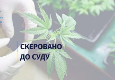 На Закарпатті співробітницю університету судитимуть за протиправне зберігання та вирощування наркотиків