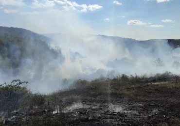 На Ужгородщині загорання сухостою ледь не переросло в лісову пожежу