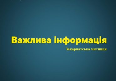 Понад 6 млрд грн митних платежів отримав Держбюджет від перерахувань Закарпатської митниці